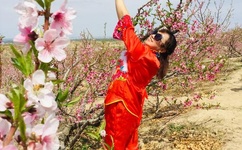 付晓田最新消息